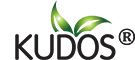 Kudos Ayurveda